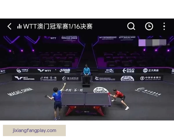 乒乓球波尔技术解析与实战技巧全面提升指南